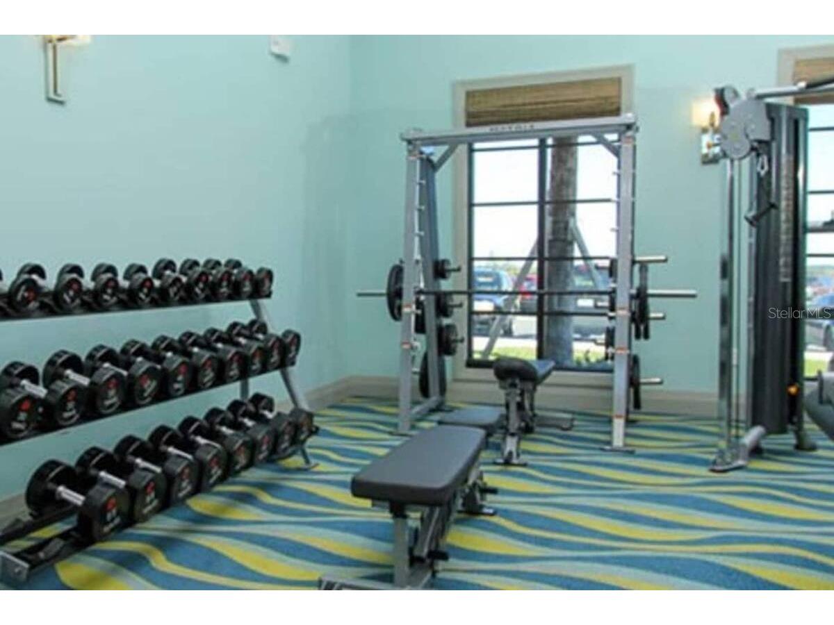 9043 Shadow Mountain Street Davenport FL 33896 O6385097 image48