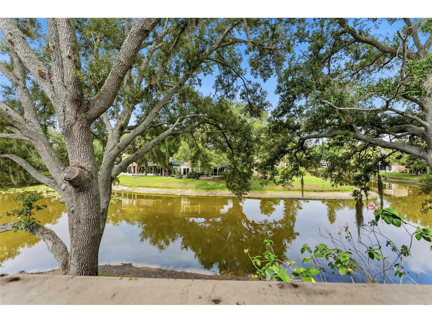 9044 Lake Place Lane Tampa FL 33634 TB8528069 image24
