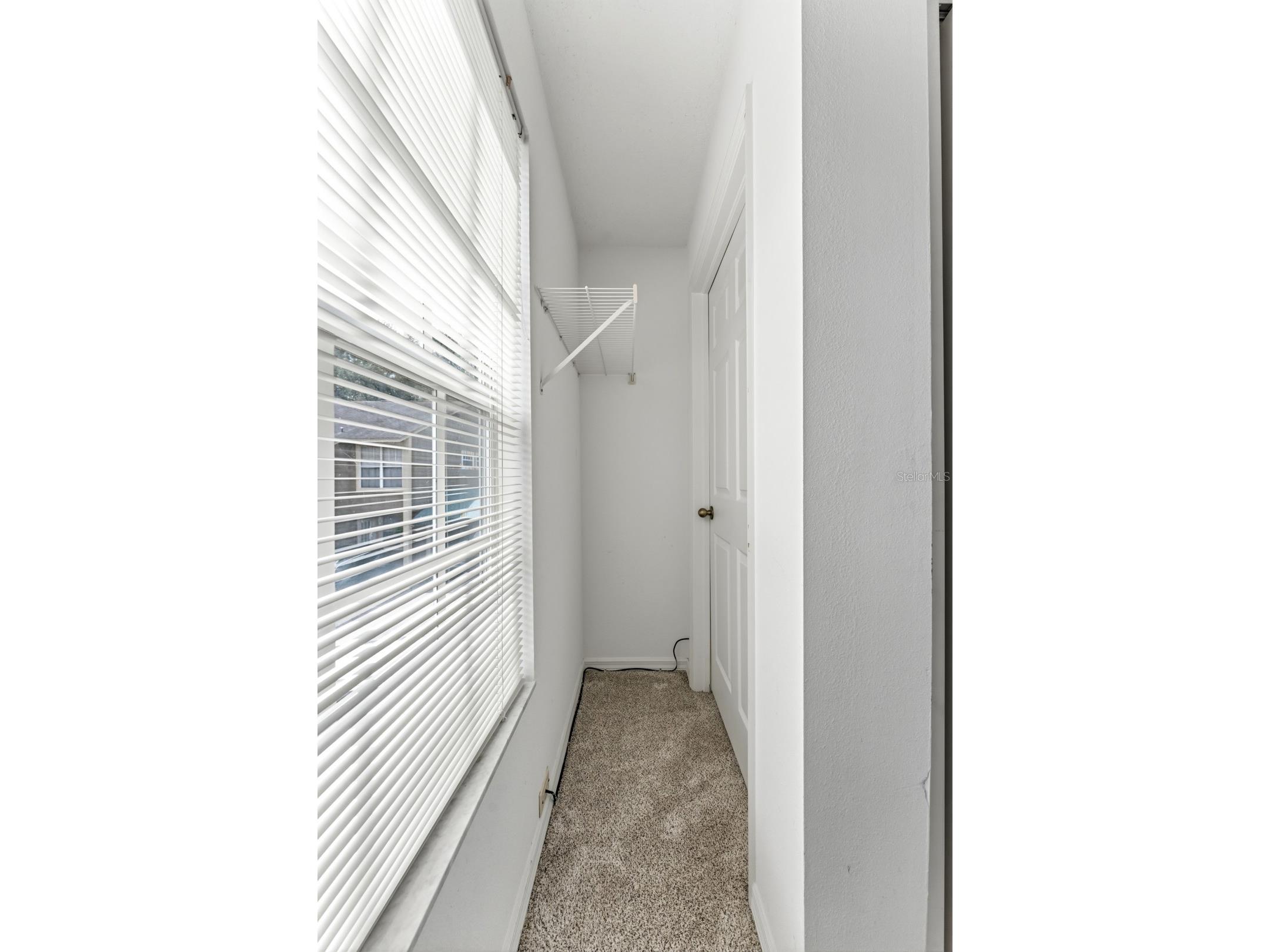 9044 Lake Place Lane Tampa FL 33634 TB8528069 image32