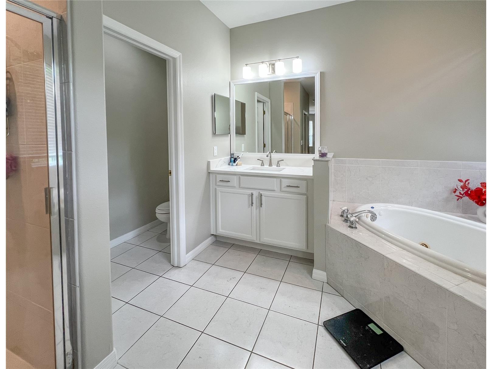 9046 Shenandoah Run Wesley Chapel FL 33544 TB8500561 image28