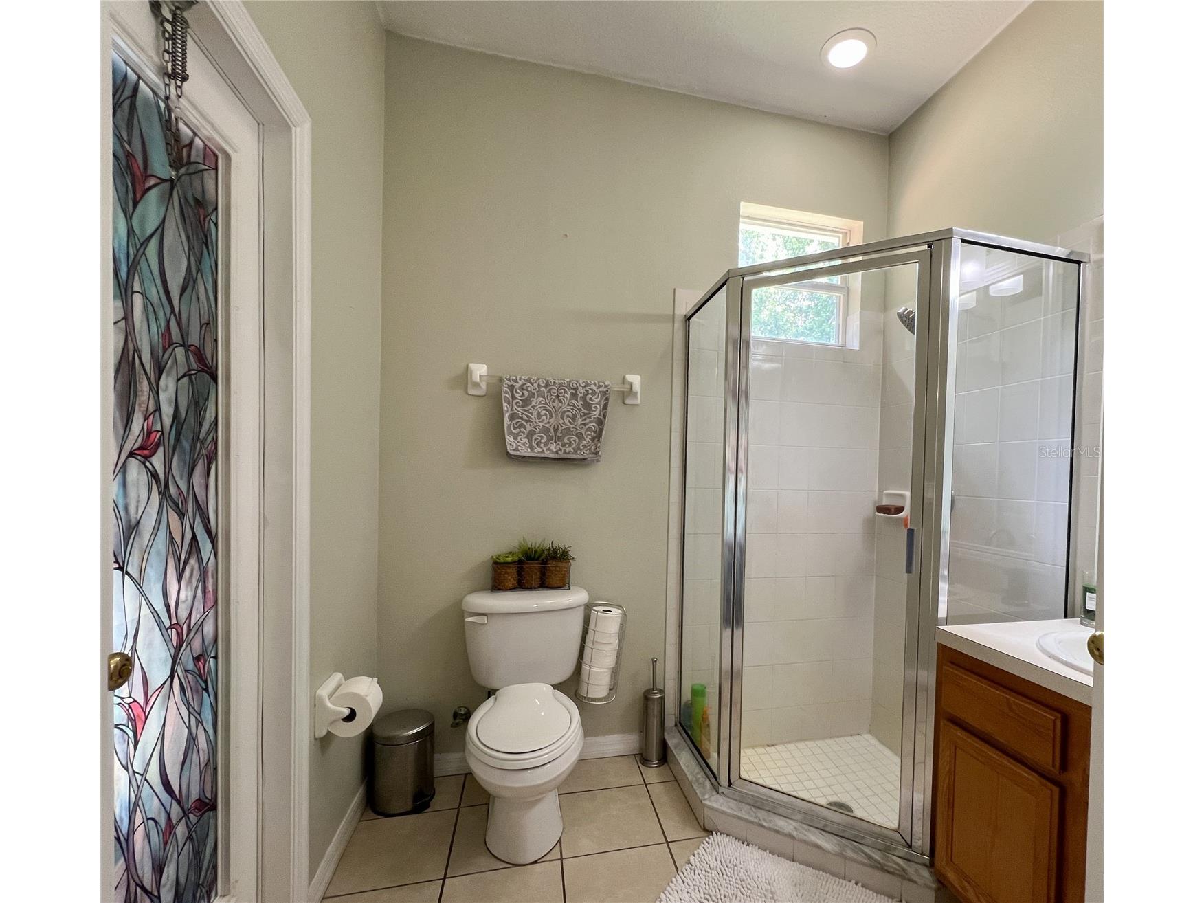 9046 Shenandoah Run Wesley Chapel FL 33544 TB8500561 image29