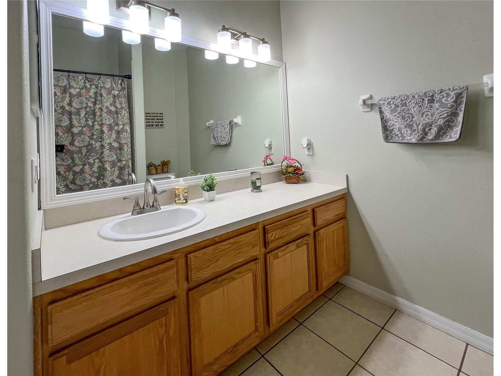 9046 Shenandoah Run Wesley Chapel FL 33544 TB8500561 image38