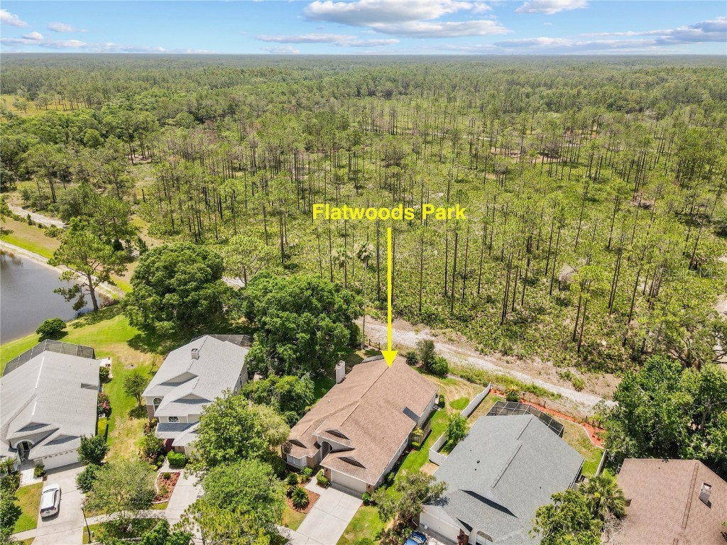 9047 Quail Creek Drive Tampa FL 33647 TB8391662 image1