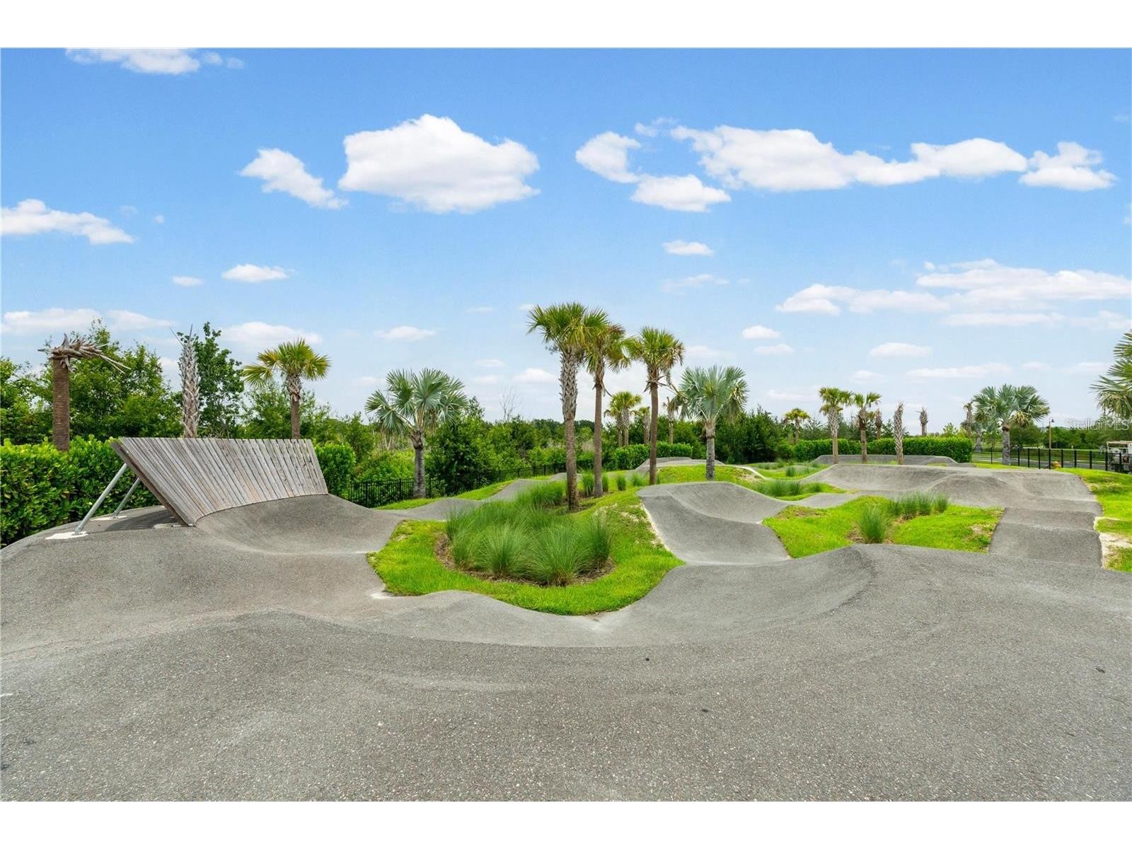 9047 Royal River Circle Parrish FL 34219 TB8528244 image38