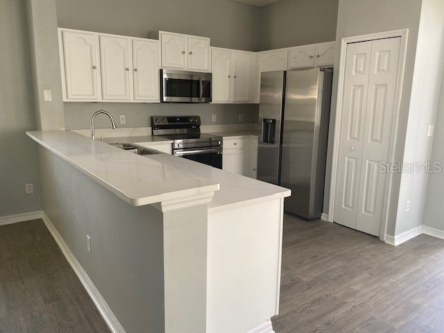 9048 Saint Andrews Way Mount Dora FL 32757 S5133537 image5