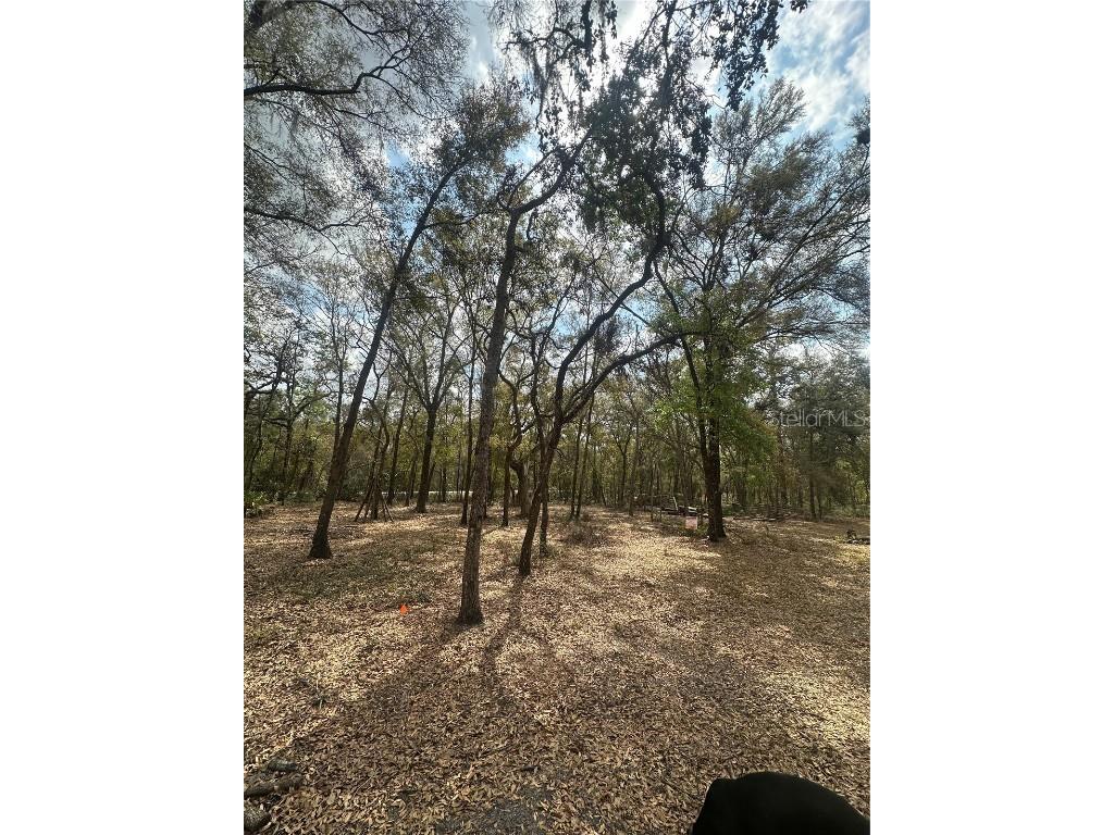 9048 Top Rock Drive Webster FL 33597 TB8360684 image1