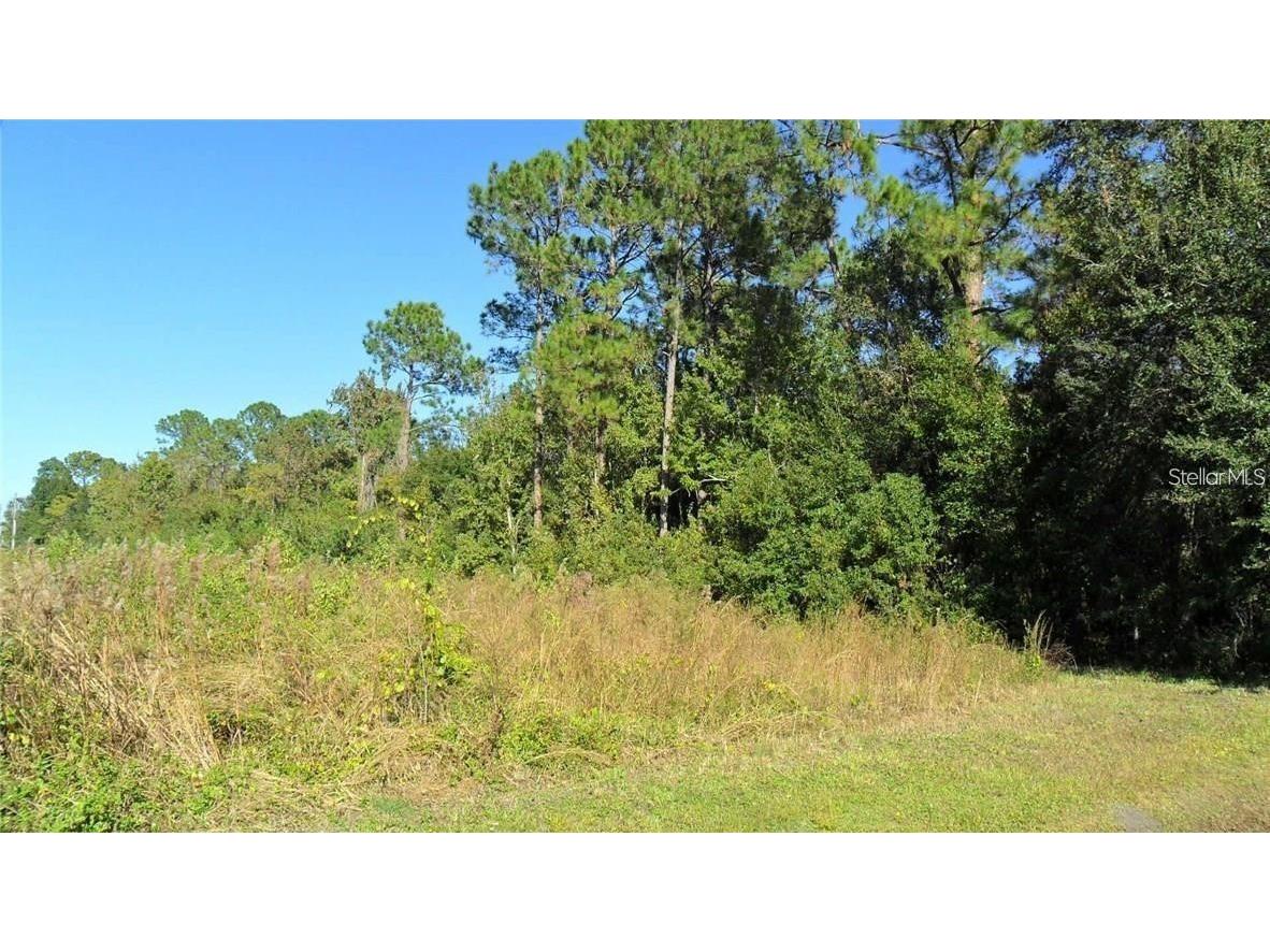 9049 Fryland Road Orlando FL 32817 O6342298 image5