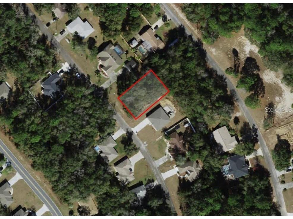 9049 N Alpinia Drive Citrus Springs FL 34434 TB8443931 image1