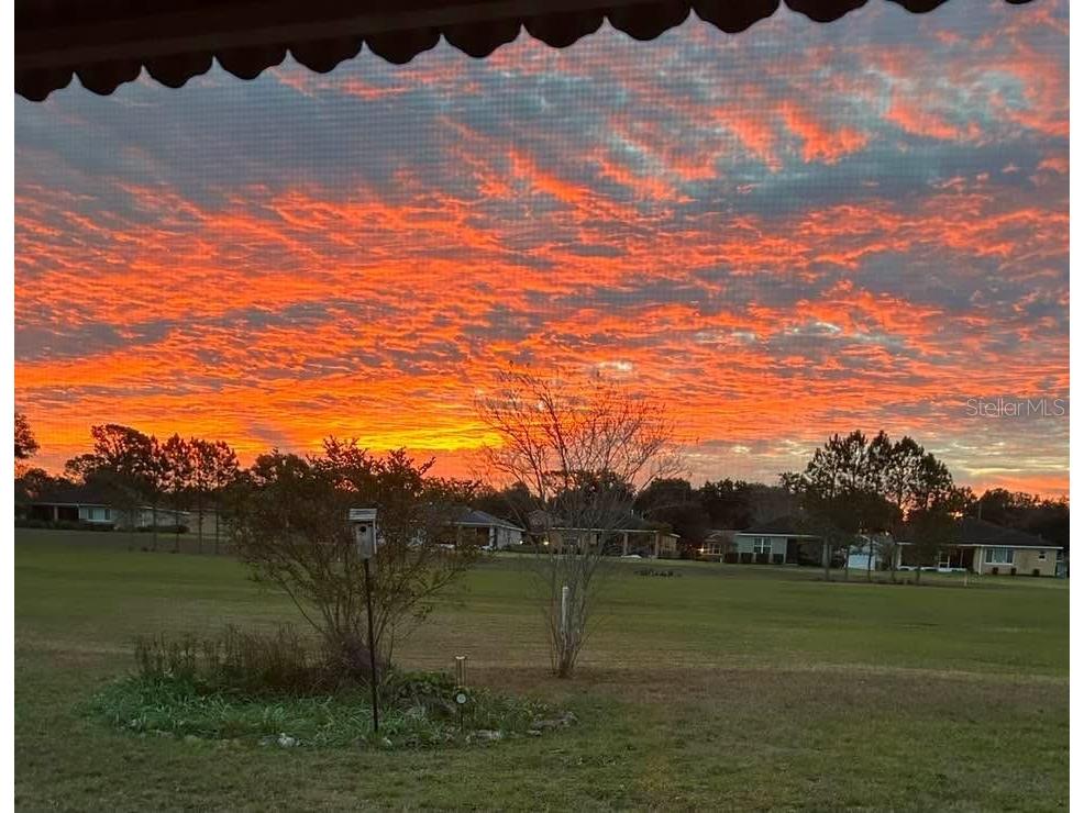 9049 SW 91st Circle Ocala FL 34481 OM713289 image38