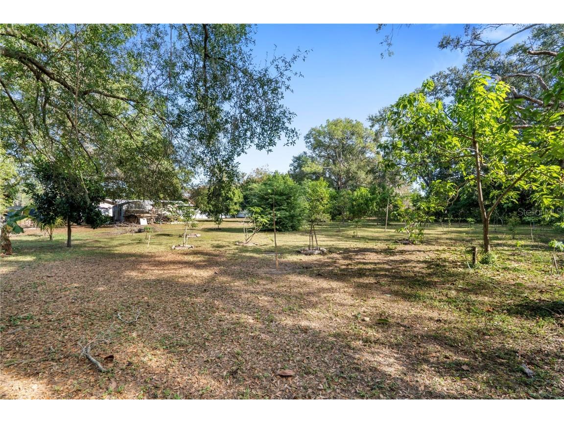 905 Bama Road Brandon FL 33511 TB8452914 image70