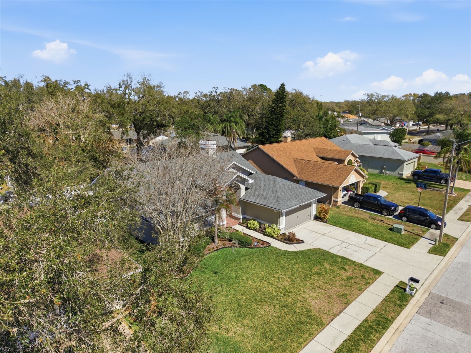 905 Clearcreek Drive Tampa FL 33613 TB8465009 image36