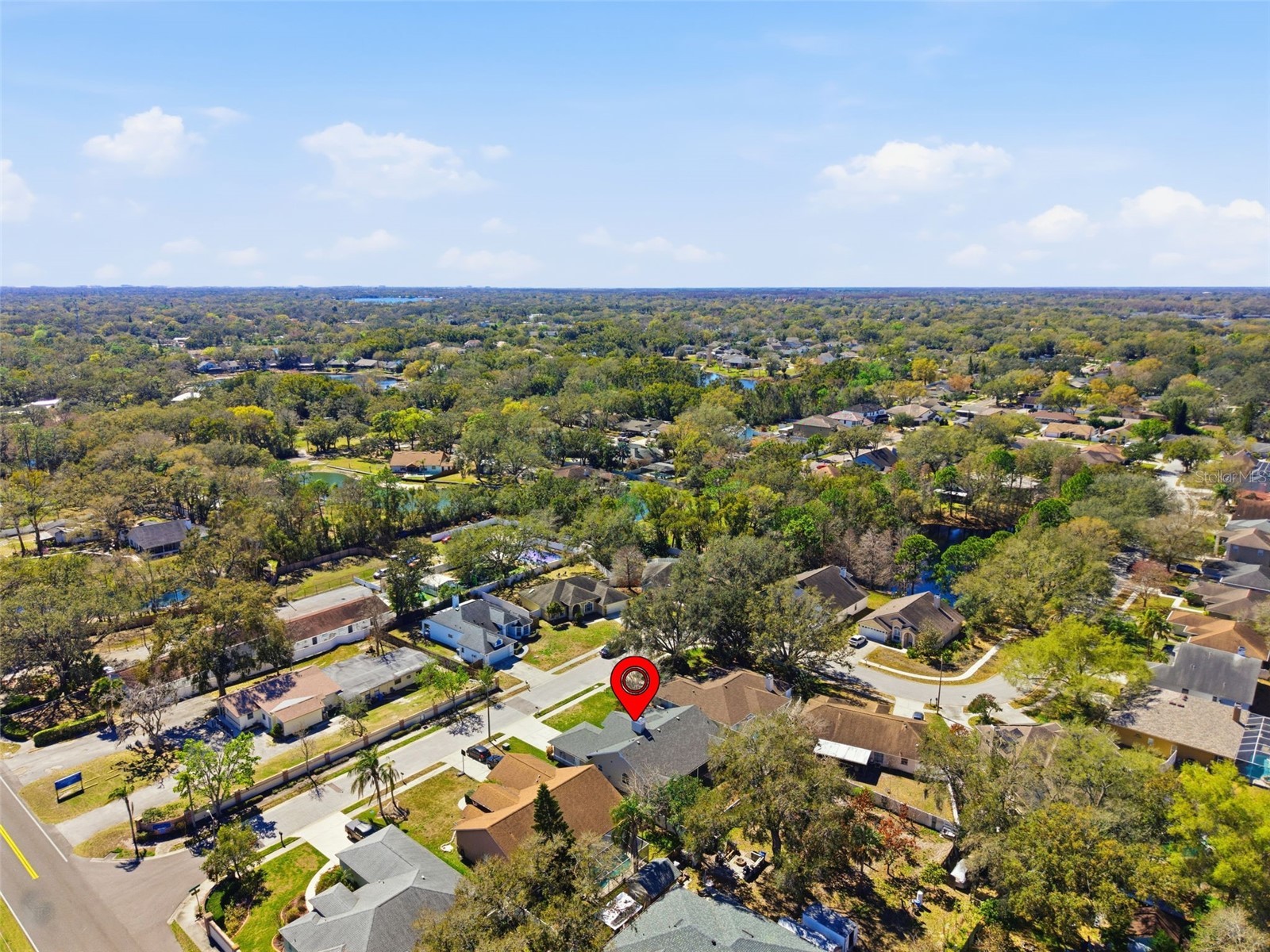 905 Clearcreek Drive Tampa FL 33613 TB8465009 image46