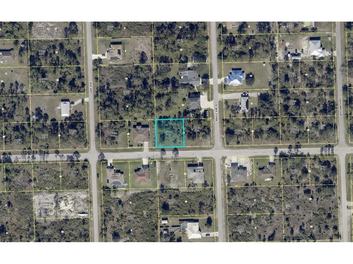 905 E 10th Street Lehigh Acres FL 33972 T3453897 image1