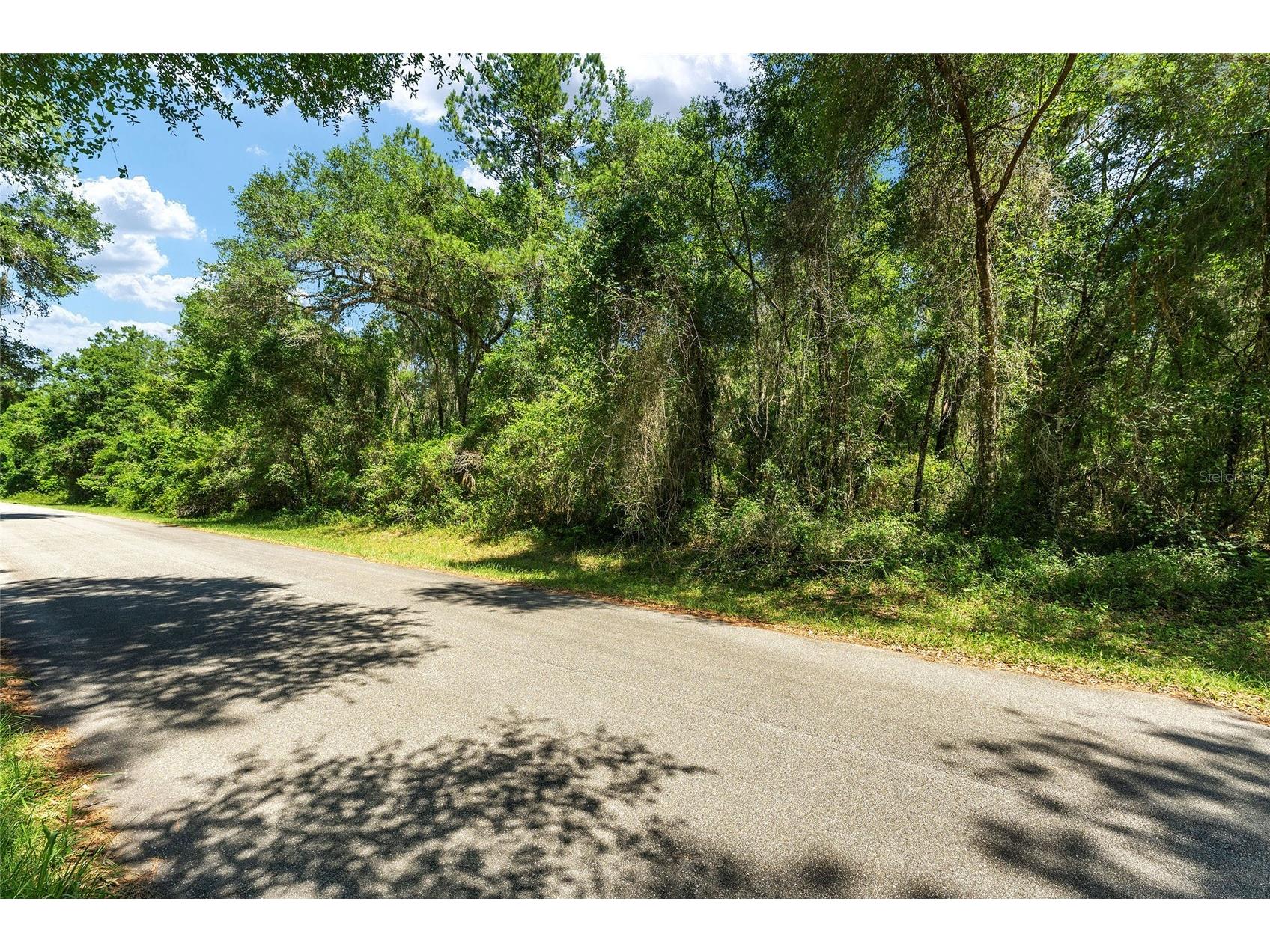 905 E Abend Drive Dunnellon FL 34434 C7526651 image1