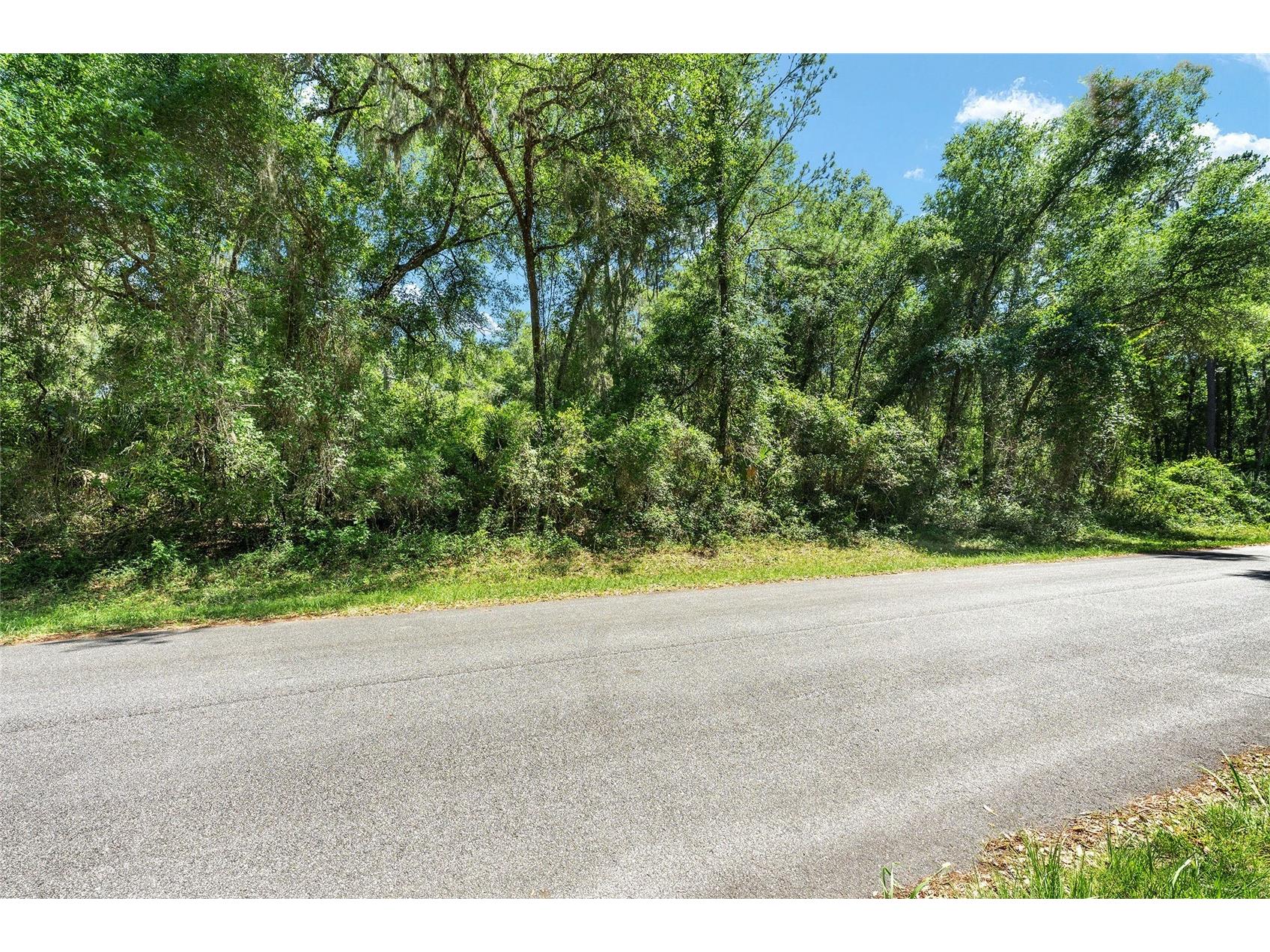 905 E Abend Drive Dunnellon FL 34434 C7526651 image2