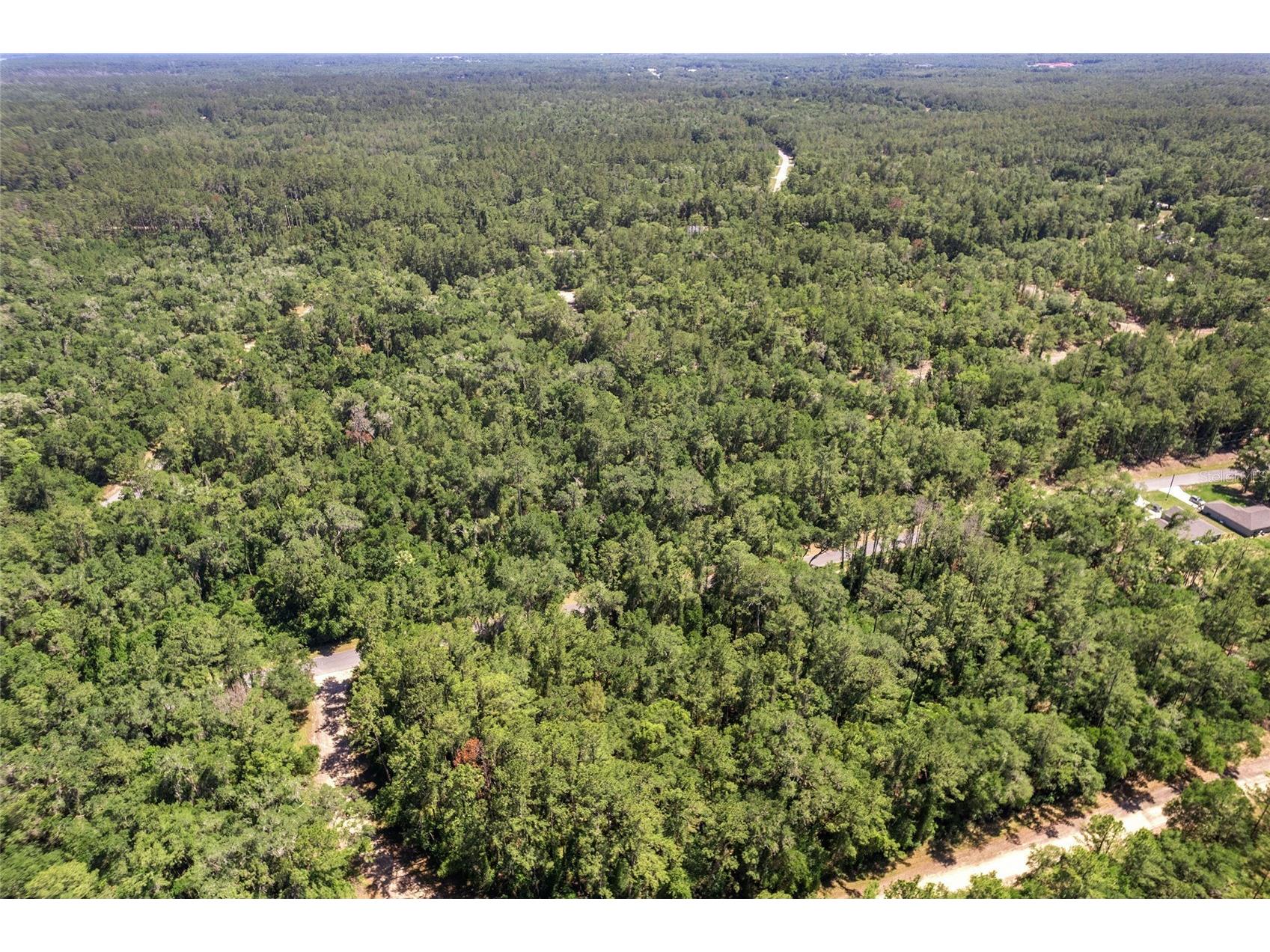 905 E Abend Drive Dunnellon FL 34434 C7526651 image3