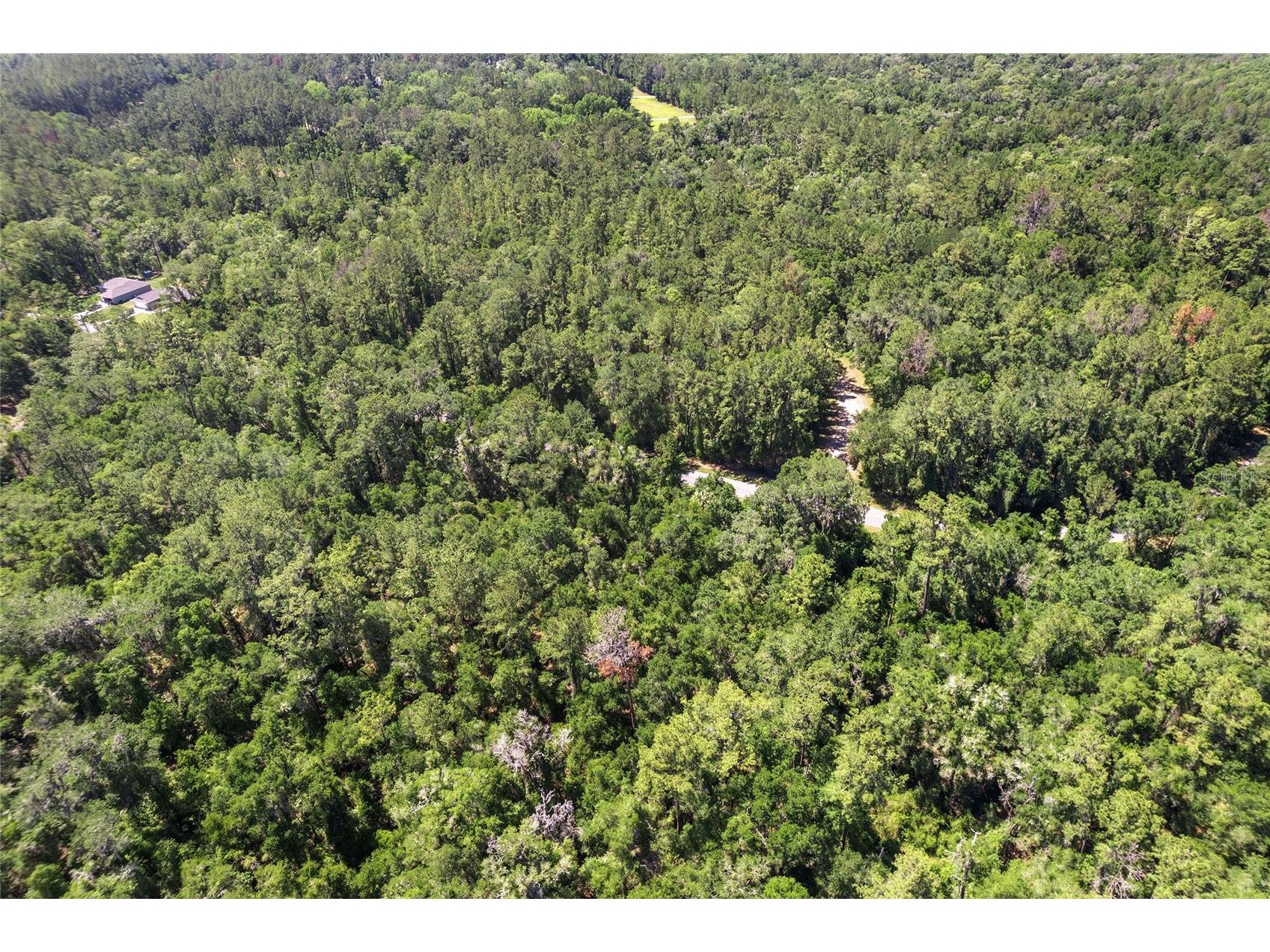 905 E Abend Drive Dunnellon FL 34434 C7526651 image4