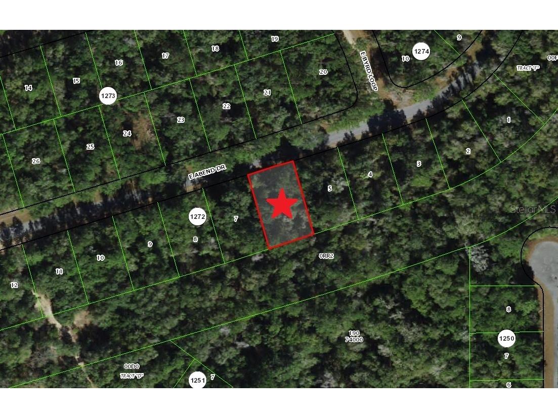 905 E Abend Drive Dunnellon FL 34434 C7526651 image5