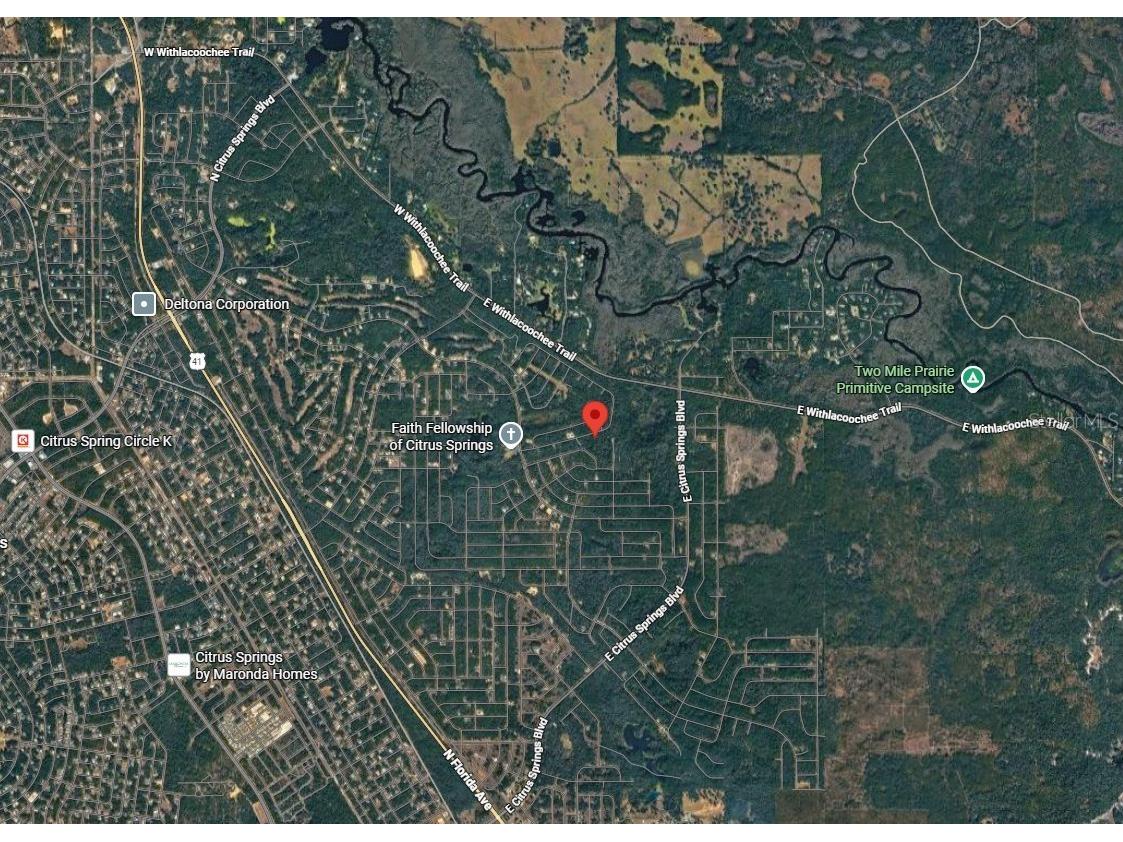 905 E Abend Drive Dunnellon FL 34434 C7526651 image6