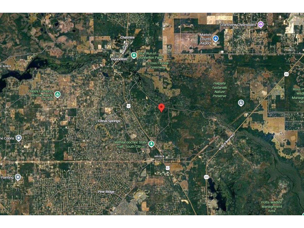 905 E Abend Drive Dunnellon FL 34434 C7526651 image7