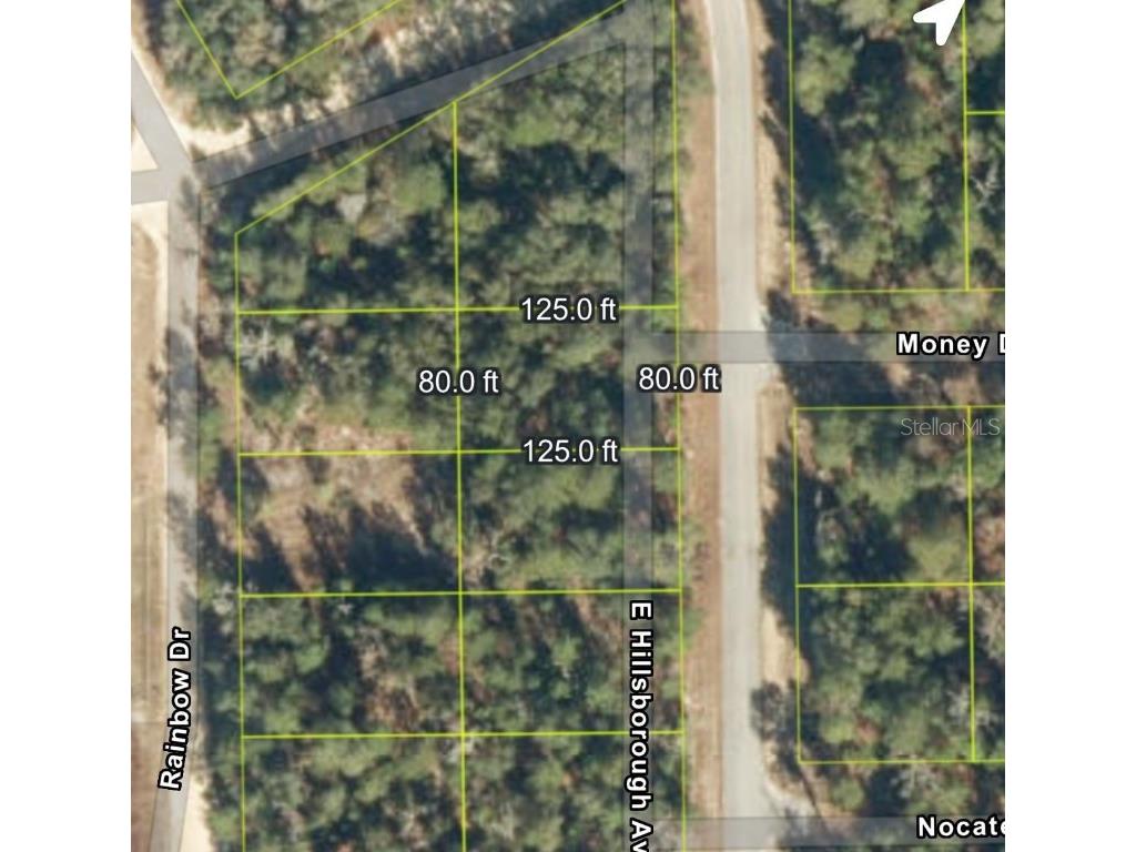 905 E Hillsborough Avenue Florahome FL 32140 O6324026 image10