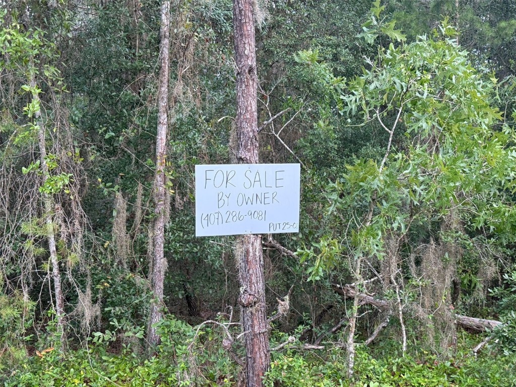 905 E Hillsborough Avenue Florahome FL 32140 O6324026 image4