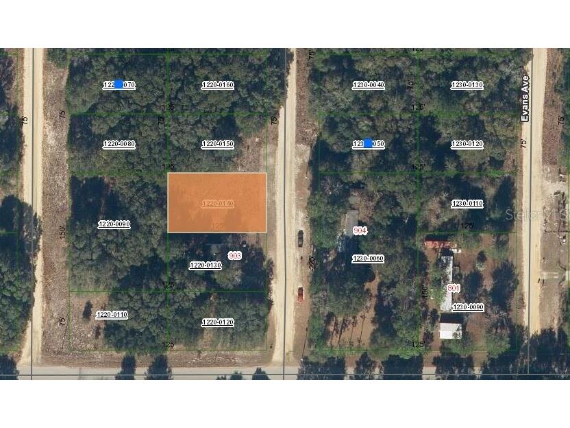 905 Janet Avenue Interlachen FL 32148 OM696935 image1