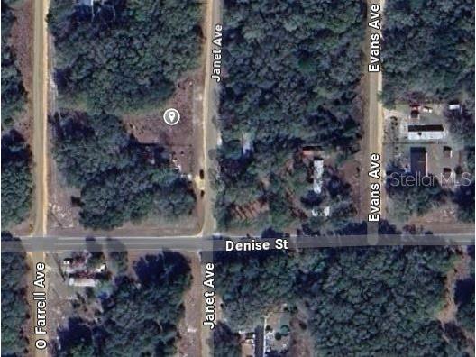 905 Janet Avenue Interlachen FL 32148 OM696935 image2