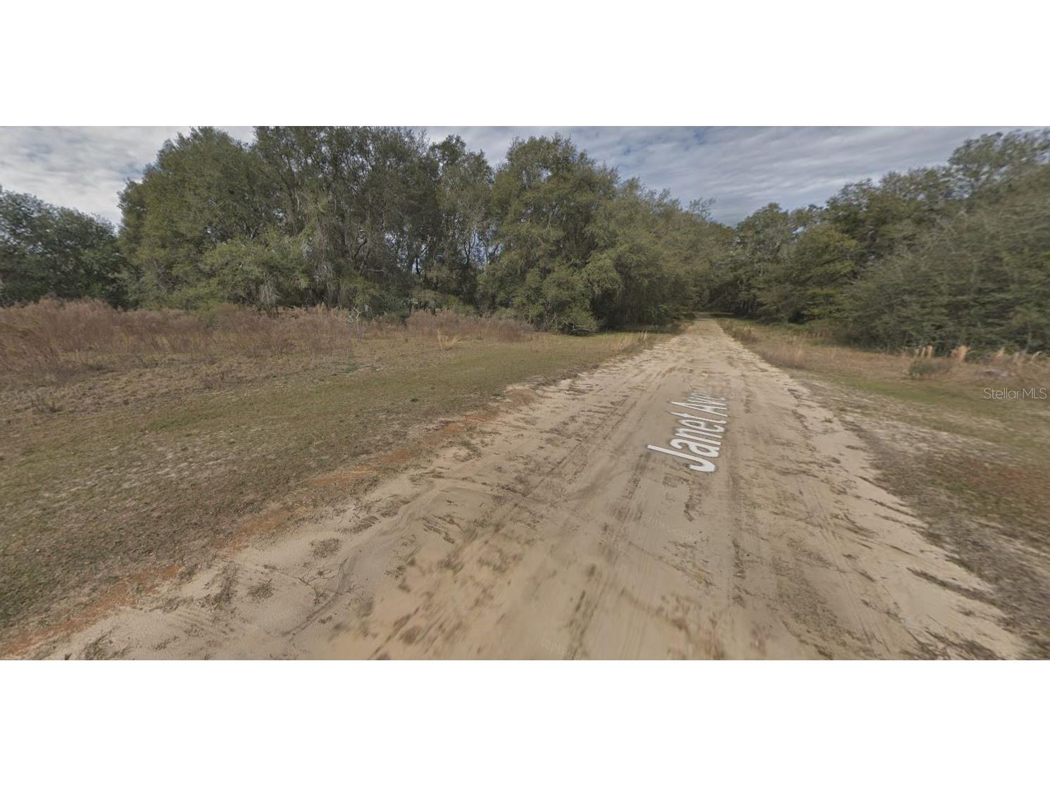 905 Janet Avenue Interlachen FL 32148 OM696935 image5