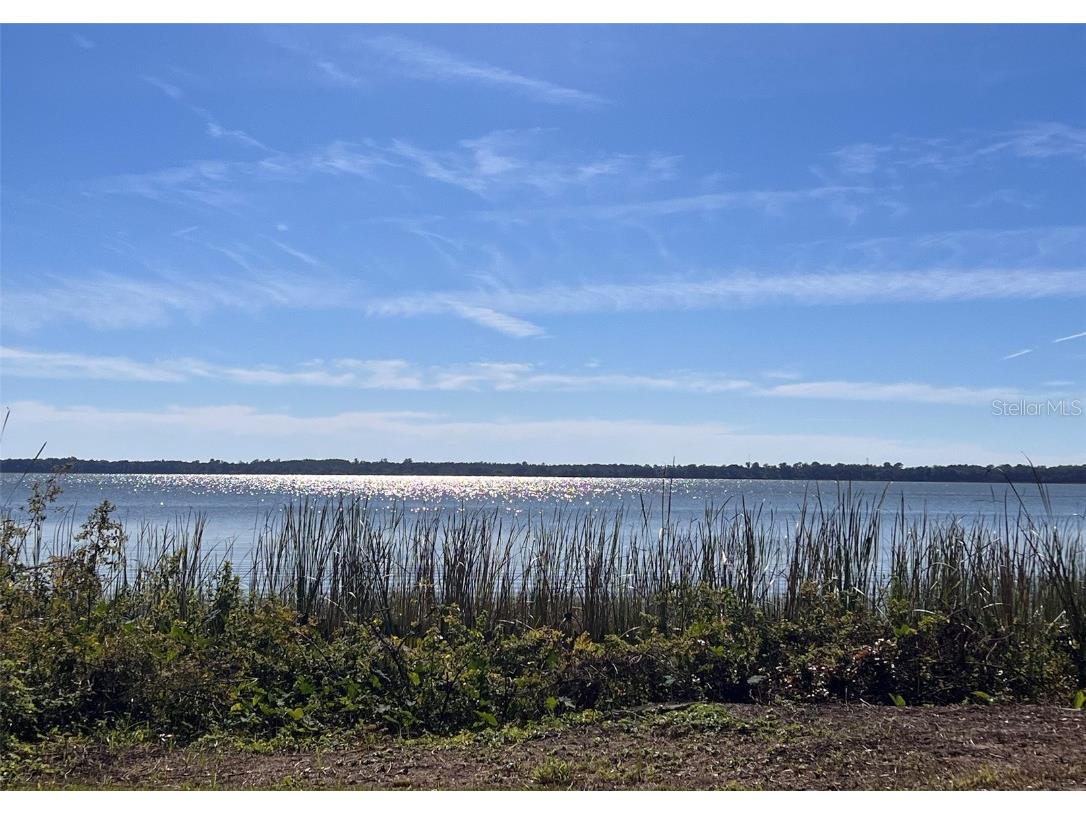 905 Lake Dora Drive Tavares FL 32778 - LAKE DORA G5075600 image1