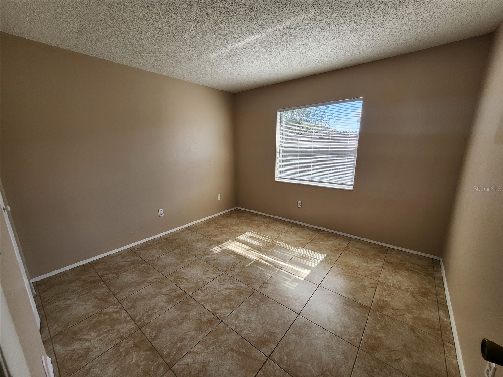 905 Old Field Drive Brandon FL 33511 TB8508837 image10