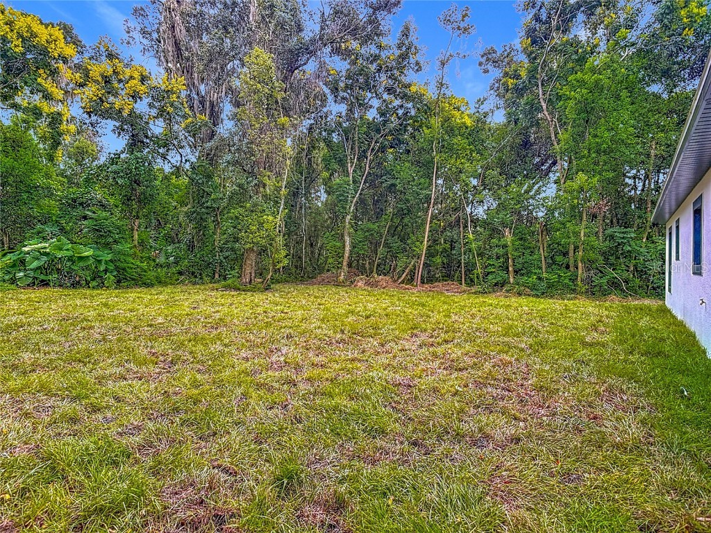 905 S Garfield Avenue Deland FL 32724 S5135777 image44