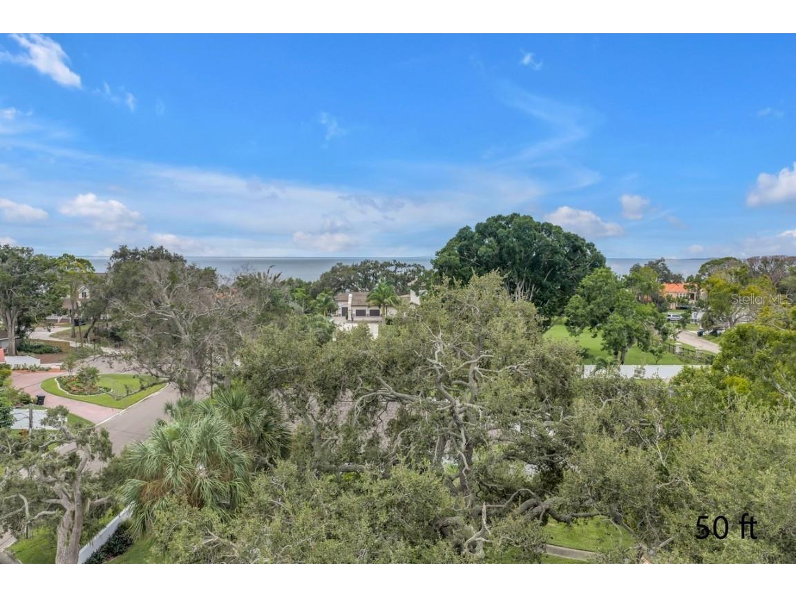 905 Serpentine Drive S Saint Petersburg FL 33705 TB8436389 image2