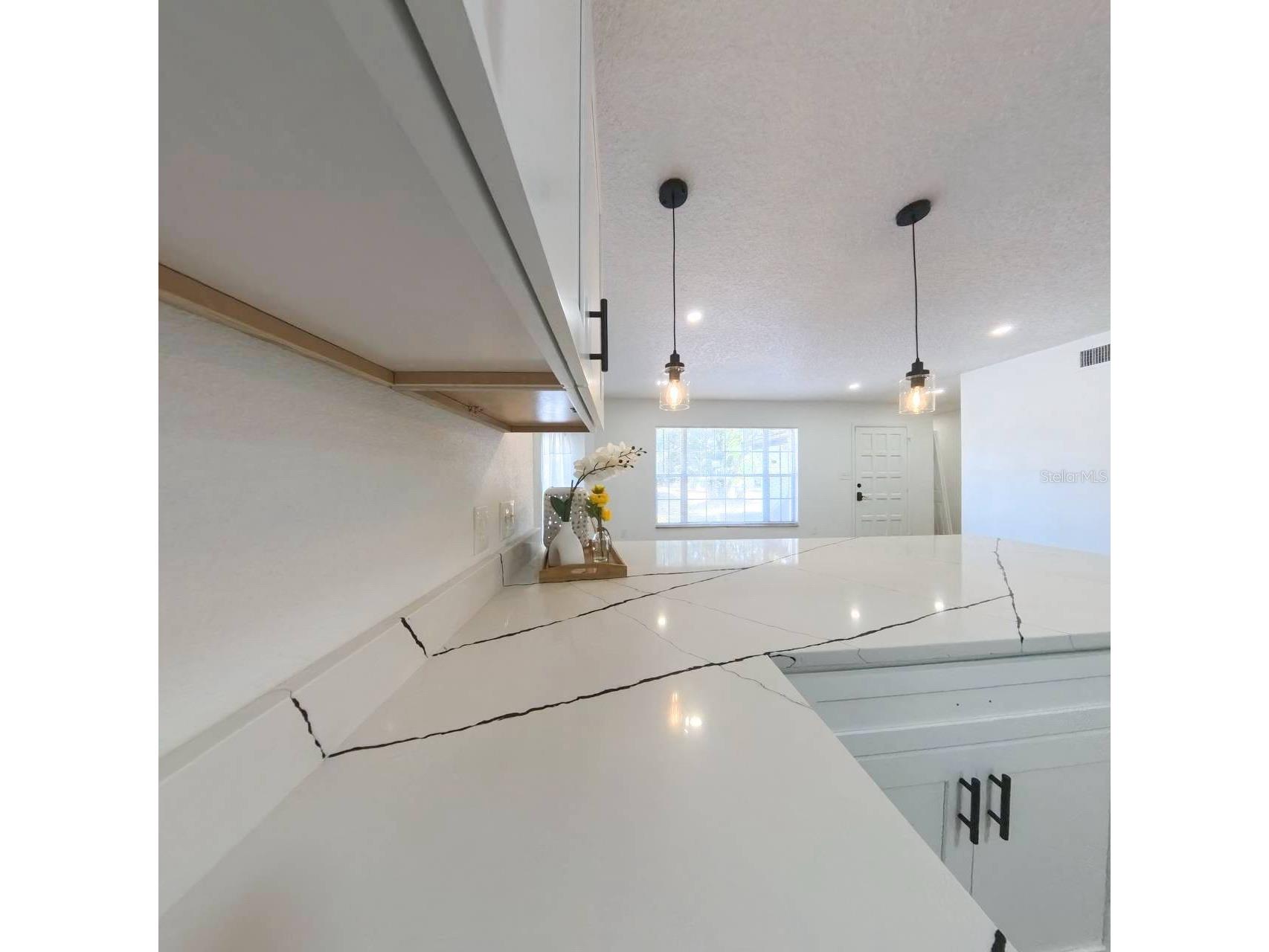 905 Spring Creek Drive Ocoee FL 34761 S5138156 image19