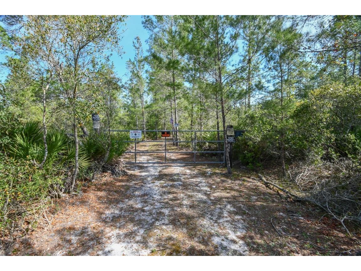 905 Still Road Pierson FL 32180 V4941733 image1