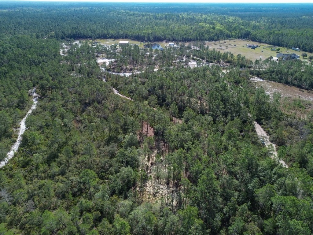 905 Still Road Pierson FL 32180 V4941733 image10