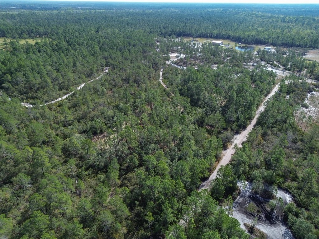 905 Still Road Pierson FL 32180 V4941733 image11