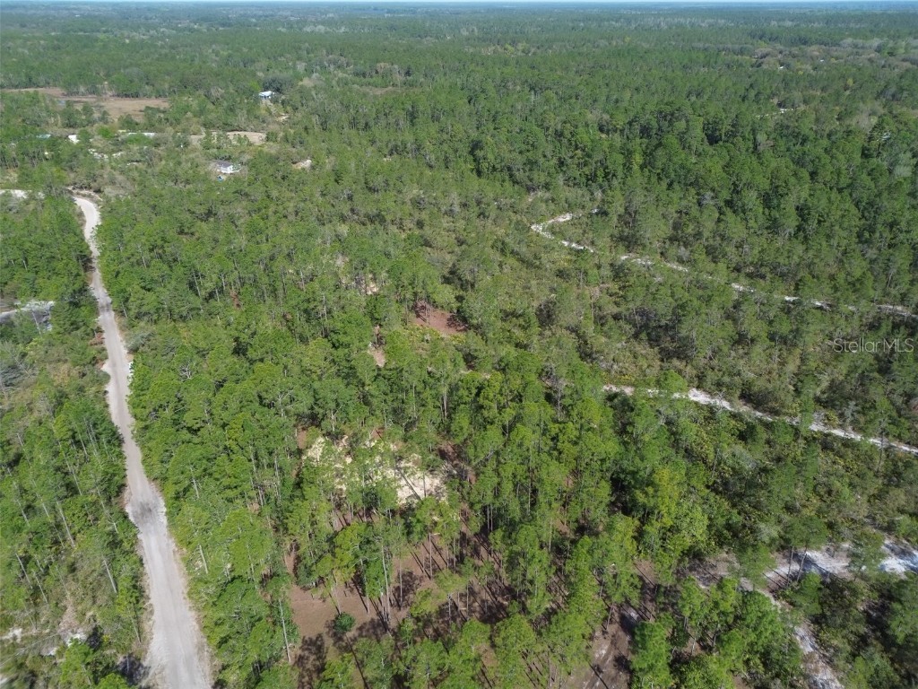 905 Still Road Pierson FL 32180 V4941733 image12