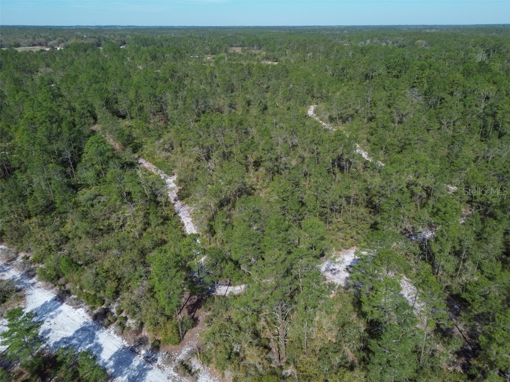905 Still Road Pierson FL 32180 V4941733 image13