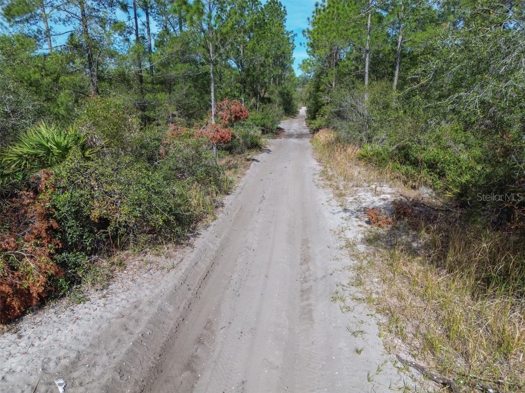 905 Still Road Pierson FL 32180 V4941733 image15