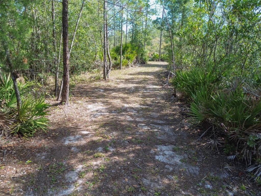 905 Still Road Pierson FL 32180 V4941733 image2