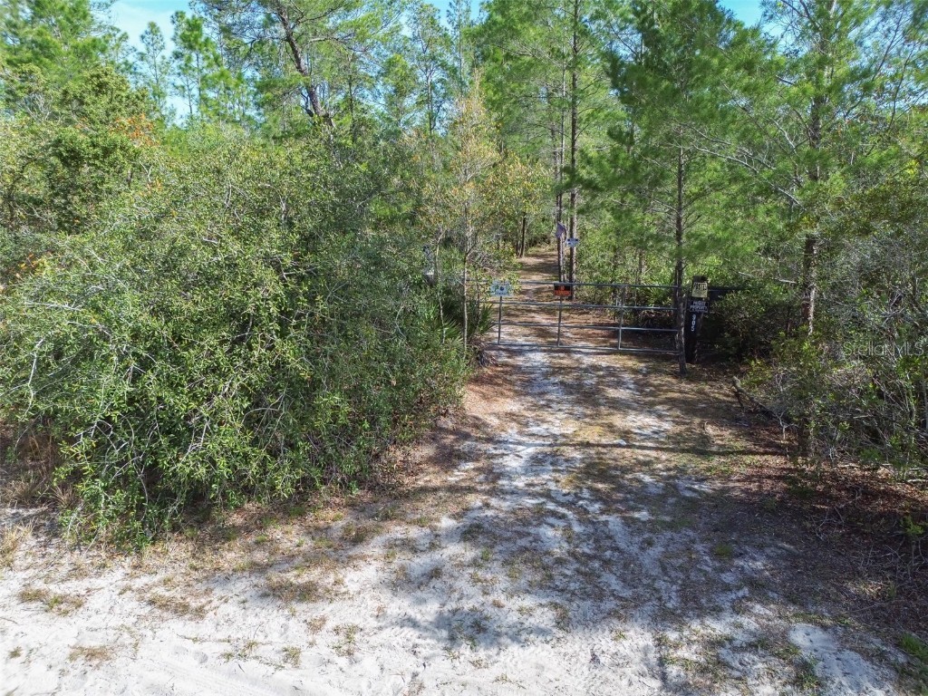 905 Still Road Pierson FL 32180 V4941733 image3