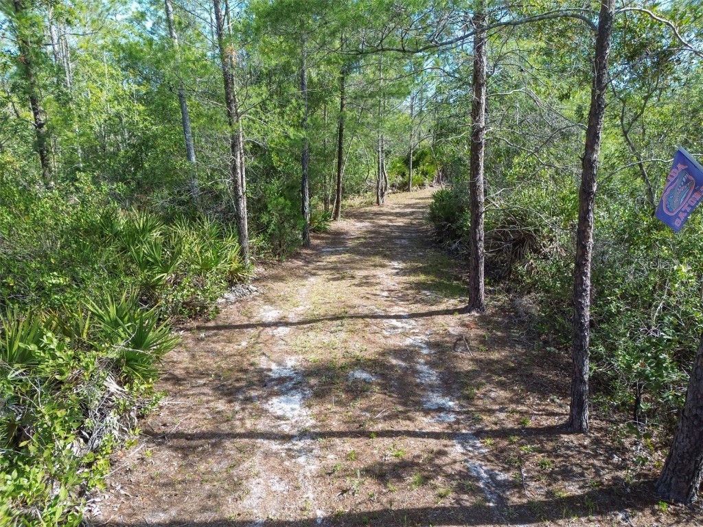 905 Still Road Pierson FL 32180 V4941733 image5