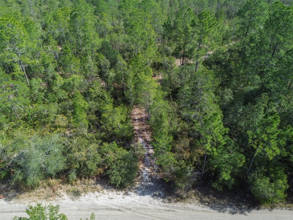 905 Still Road Pierson FL 32180 V4941733 image6