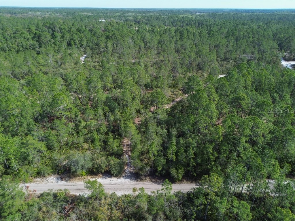 905 Still Road Pierson FL 32180 V4941733 image7