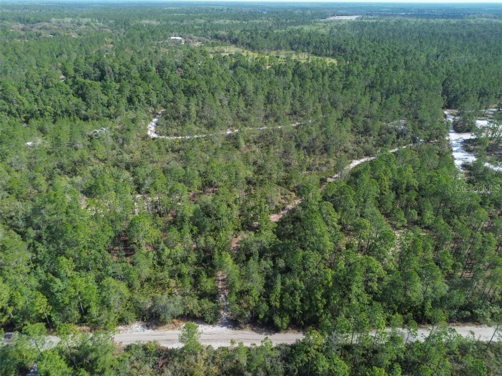 905 Still Road Pierson FL 32180 V4941733 image8