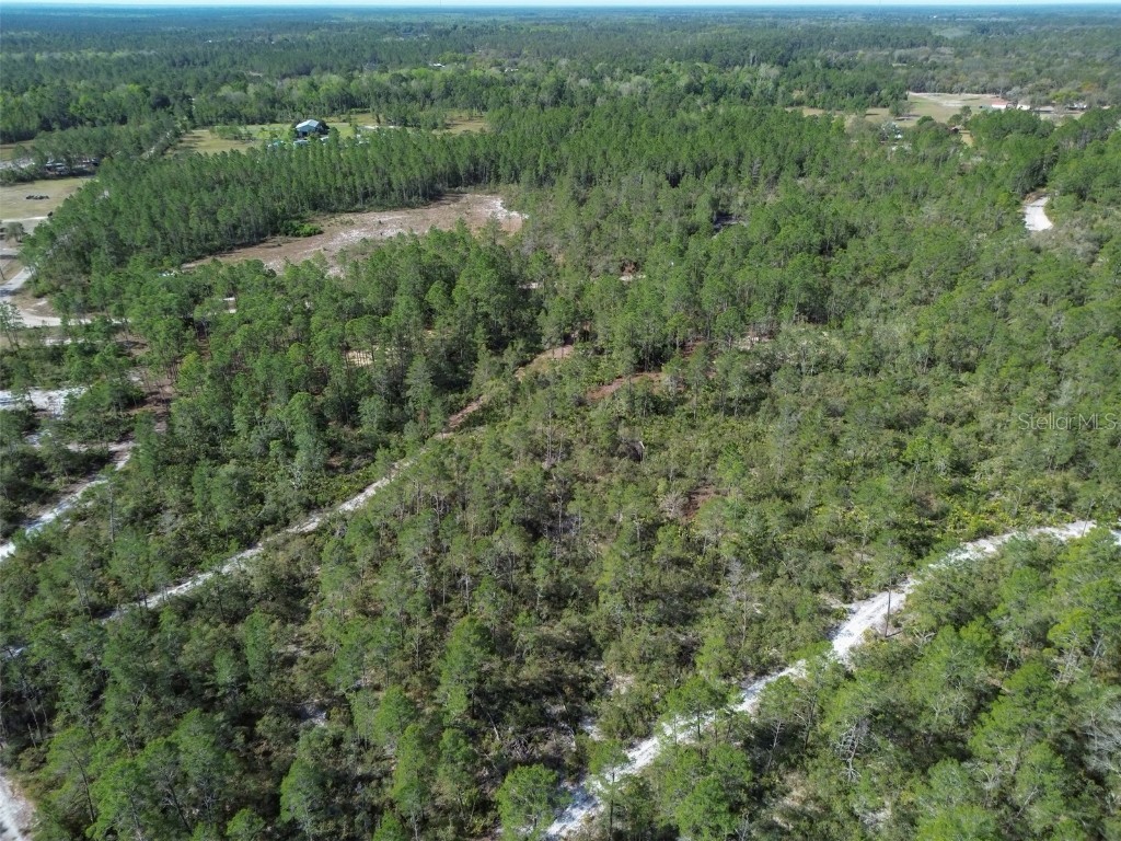 905 Still Road Pierson FL 32180 V4941733 image9