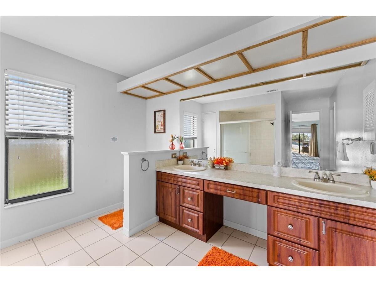 905 Stratford Manor Drive Brandon FL 33510 TB8491880 image36