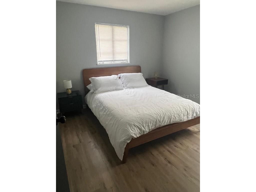 905 W 11th Avenue Mount Dora FL 32757 O6361721 image22