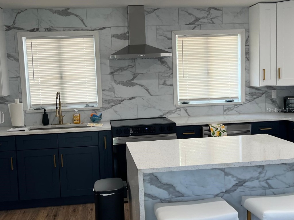 905 W 11th Avenue Mount Dora FL 32757 O6361721 image6